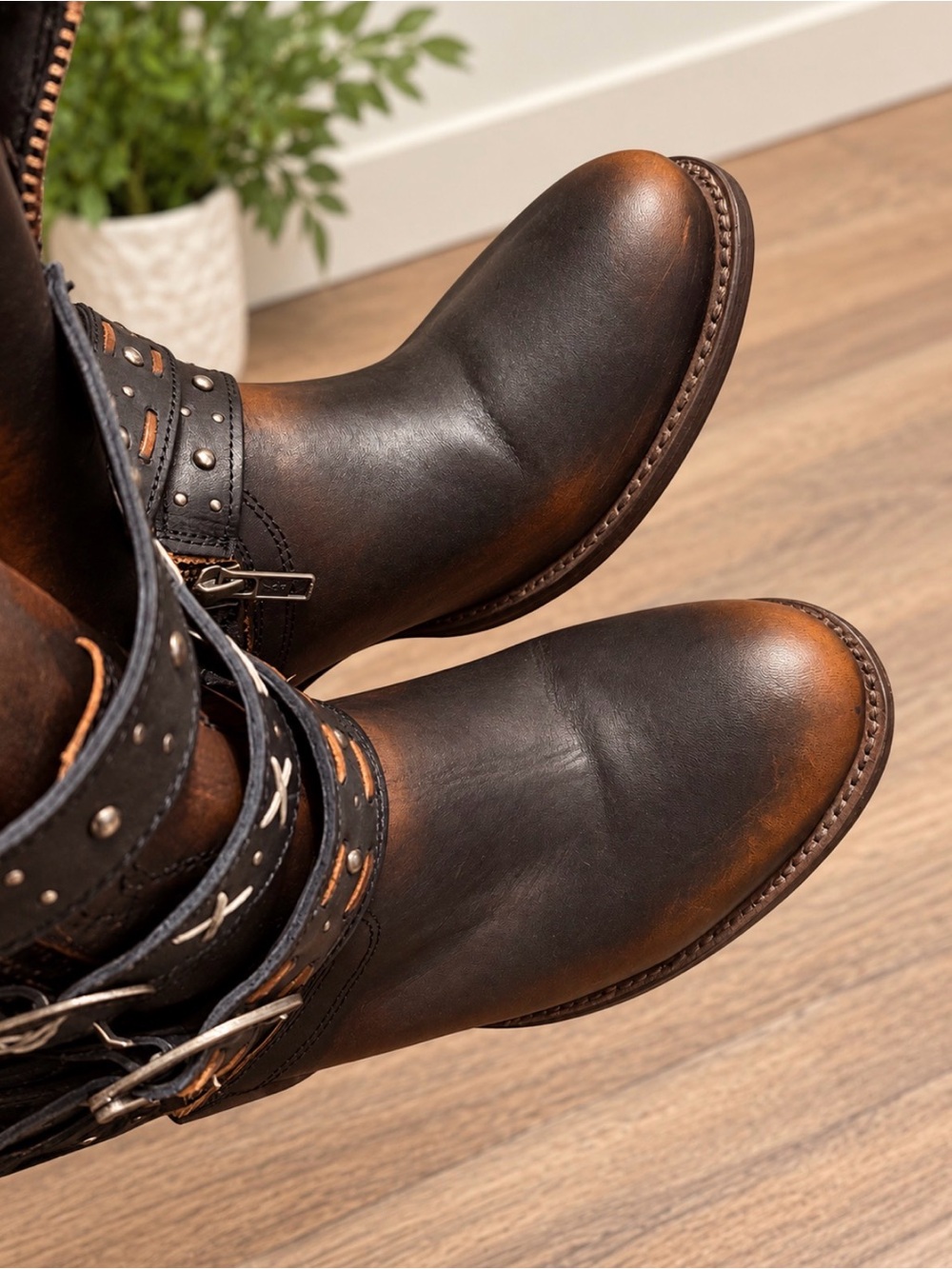 Freebird by Steven Caspian Black Brown Distressed Leather Studded Short Boots - Picture 3 of 3